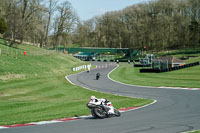 Middle Group White Bikes